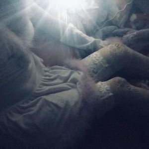 黃色A片三級三級三級免费看欲兔
