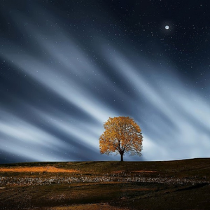 黃色A片三級三級三級免费看欲兔
