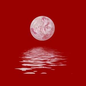 黃色A片三級三級三級免费看欲兔
