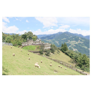 黃色A片三級三級三級免费看欲兔
