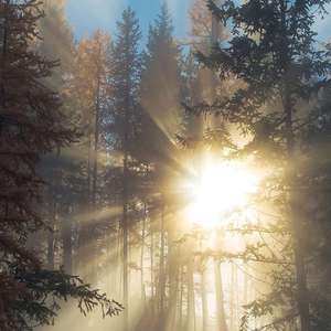 黃色A片三級三級三級免费看欲兔
