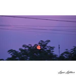 黃色A片三級三級三級免费看欲兔
