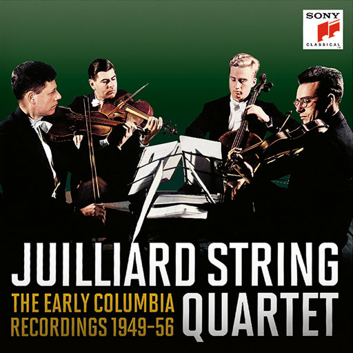 黃色A片三級三級三級免费看欲兔
